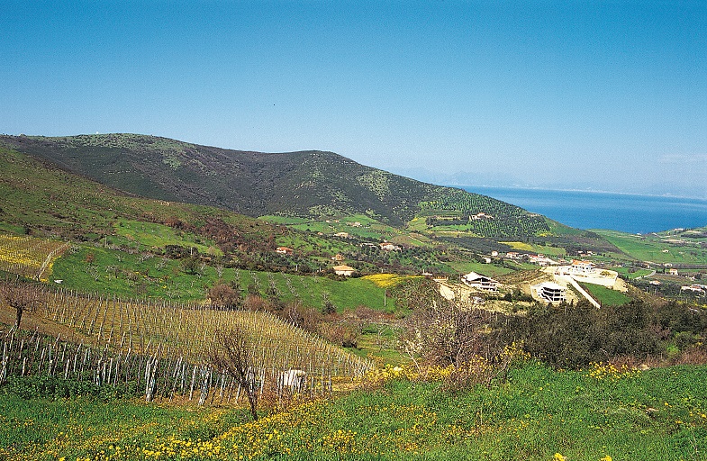 Collina costiera del Cilento